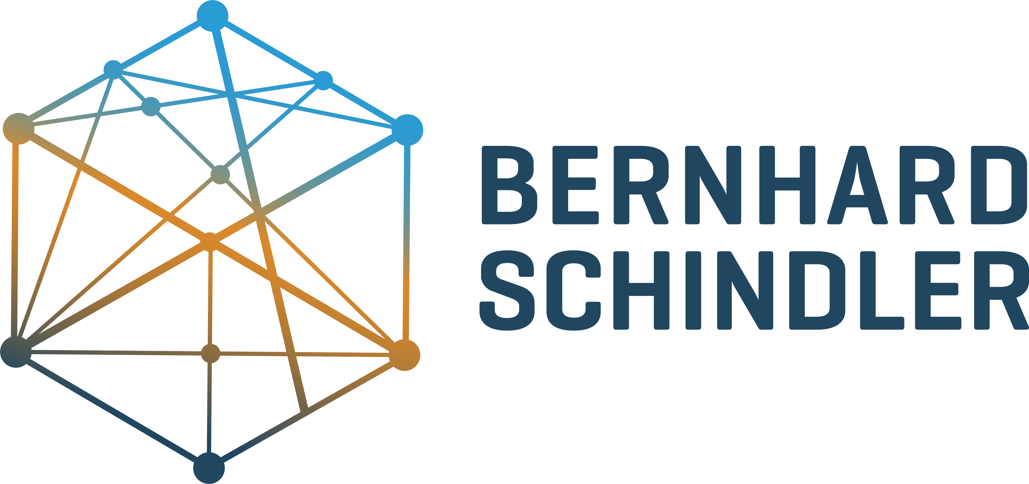 Logo Bernhard positiv neu